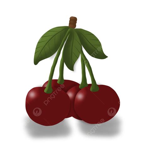 Cherry Fruit Clipart Transparent Png Hd Cherry Fruit Art Illustration