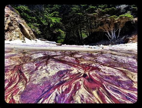 I have been digging the net for one hour and not a the purple sands seems to be washed out from some sediment in the dunes, but then it seems to be laid out in layers on a freshly formed beach (as if. pfeiffer beach purple sand - Google Search | Hawaii ...