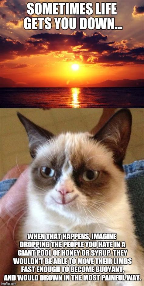 23 Cat Memes Inspirational Factory Memes