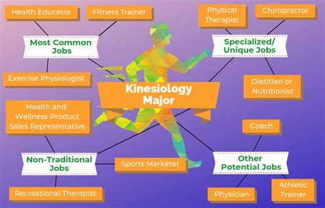 12 Jobs For Kinesiology Majors The University Network Kinesiology Major Kinesiology Health