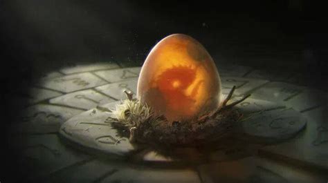 Dragon Eggs Mackenzies Dragons Nest