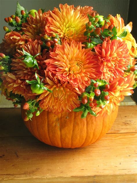 40 Pumpkin And Fall Flower Wallpaper On Wallpapersafari