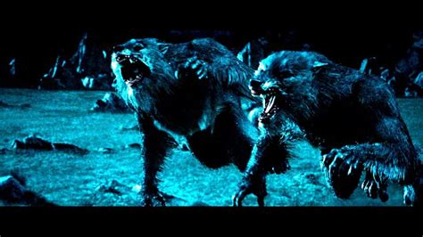 Underworld Werewolf Underworld Action Fantasy Thriller Dark Lycan