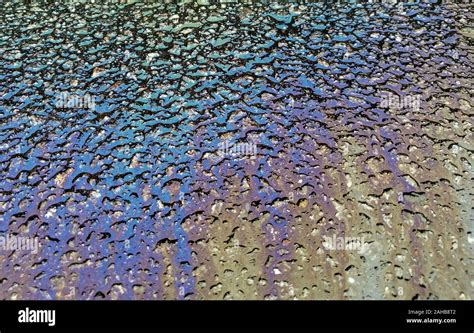 Multi Colored Oil Spill On Asphalt Road Abstract Background Stock