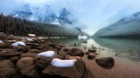 Nature Landscape Trees Forest Lake Winter Stones