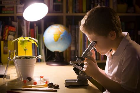 La Importancia De La Ciencia Para Los Niños Etapa Infantil