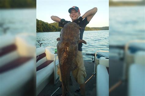 Possible Tennessee State Record Catfish Caught And Released Outdoorhub