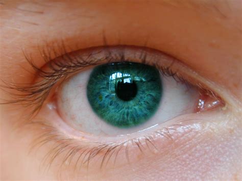 Turquoise Eye By Skunkyzor On Deviantart