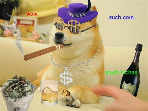 Everything you wanted to know about $doge we've had a great talk with max keller, @dogecoin core developer. Buy dogecoin in 2020 | Doge meme, Doge, Dog memes