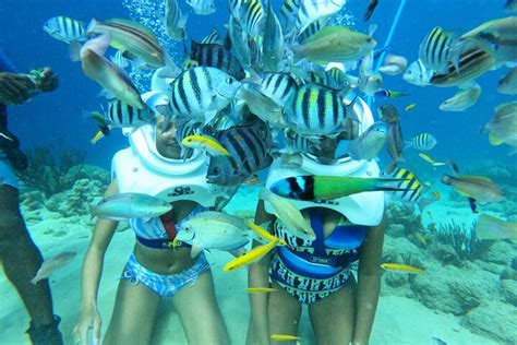 Underwater Walking Tour In Curacao Willemstad Curaçao