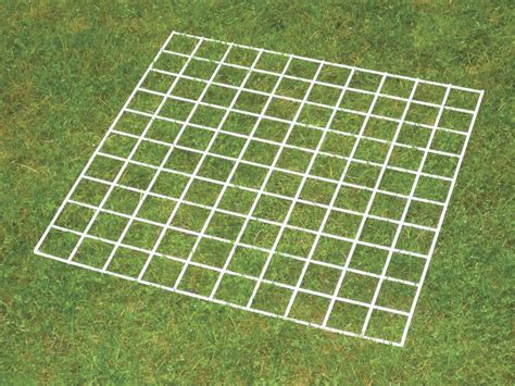 Grid Quadrat 100 Squares Anderson Scientific
