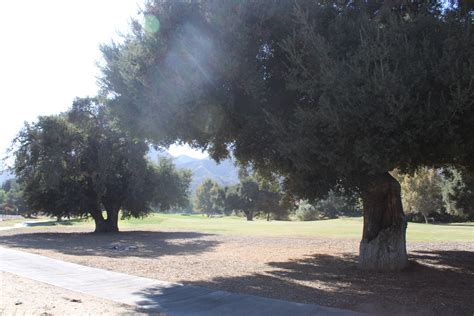 Corona California Glen Ivy Golf Course | Corona california, Glen ivy, Corona