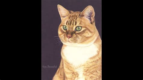 How To Draw A Cat In Colored Pencil Tutorial Youtube