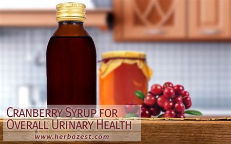 Cranberry Syrup For Overall Urinary Health Recipe Urinary Health