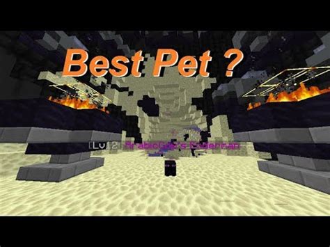 Best Starter Pet | Hypixel Skyblock ! - YouTube