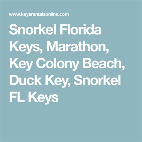 Snorkel Florida Keys Marathon Key Colony Beach Duck Key Snorkel Fl