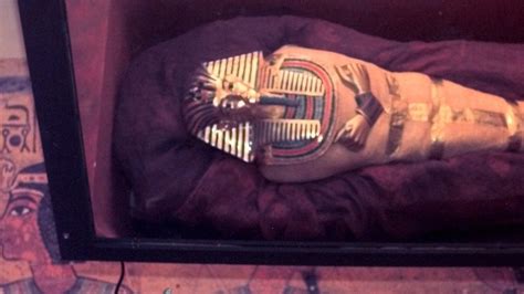 today in history november 4 1922 entrance to king tut s tomb discovered