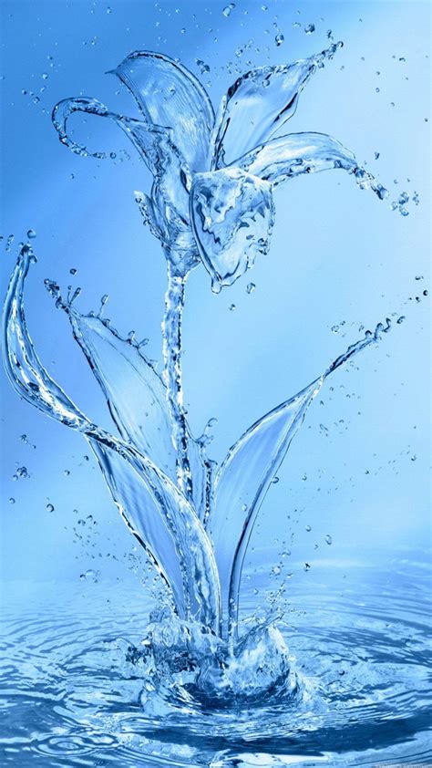 Beautiful Water Wallpaper Images Of Flowers