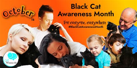 Why Is October Black Cat Awareness Month Cat Wisdom 101 Layla Morgan