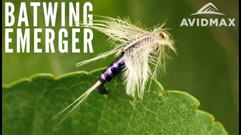 How To Tie The Batwing Emerger Avidmax Fly Tying Tuesday Tutorials