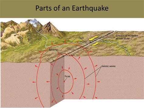 Parts Of An Earthquake Diagram