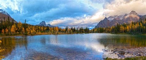 Autumn Colors Scenic Larches Schaffer Lake Canadian Rocky Mountains