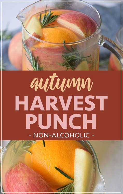 Autumn Harvest Thanksgiving Punch Mocktail Recipe Thanksgiving