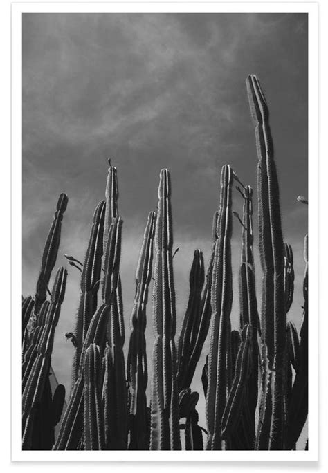 Cactus 02 Poster Juniqe
