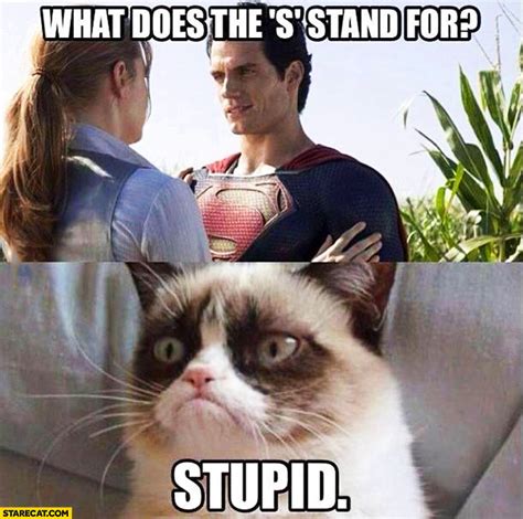 We've got 58 definitions for wap ». What does the "s" stand for? Superman Stupid grumpy cat ...