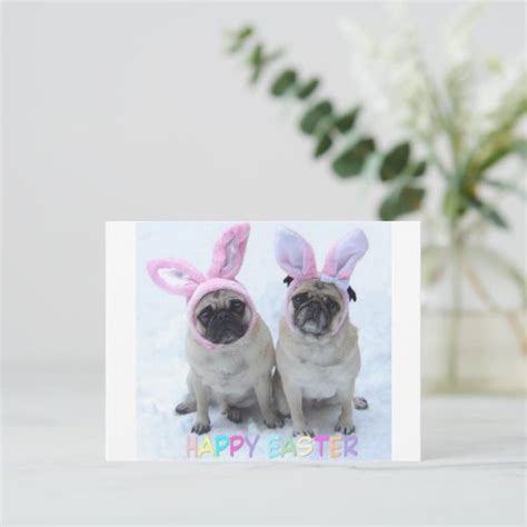 Pug Easter Bunny Holiday Postcard Zazzle