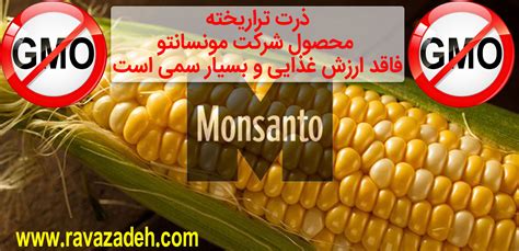 Monsanto Corn روازاده سایت حکیم دکتر روازاده پدر طب ایرانی اسلامی