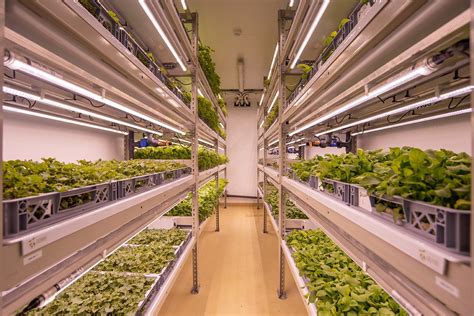 How Can Vertical Farming Address Our Sustainable Development Goals