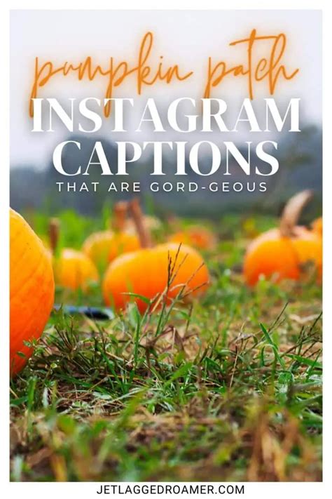 120 Pumpkin Patch Captions For Instagram To Let Your Gourd Down Jr