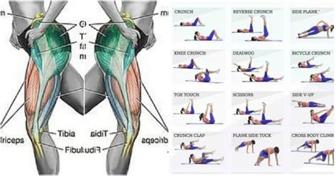 Check out amazing glutes artwork on deviantart. The 3 Exercise Workout For Strong And Powerful Glutes ...