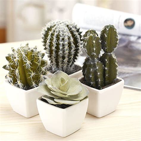 Assorted Green Decorative Faux Succulent Mini Cacti Begondis Set Of 3