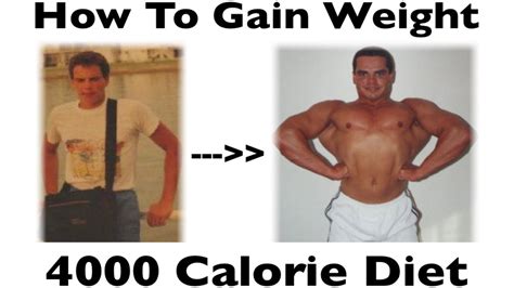 How To Gain Weight Fast For Skinny Guys Stronglifts Meal Plan To Gain Weight For Skinny