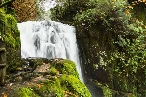 Sweet Creek Falls Hike Near Mapleton Oregon Free Arenas