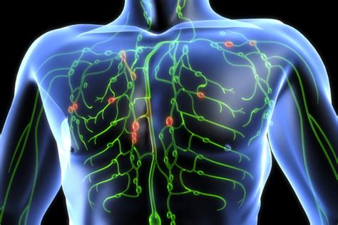 Top 14 Symptoms Of Clogged Lymphatic System And How To Improve It