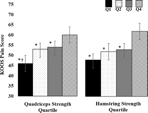 Associations Among Knee Muscle Strength Structural Damage And Pain