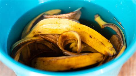 Is It Safe To Eat Banana Peels