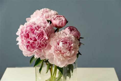 Peonies Pink Bouquet In A Glass Vase On Light Blue Background Stock