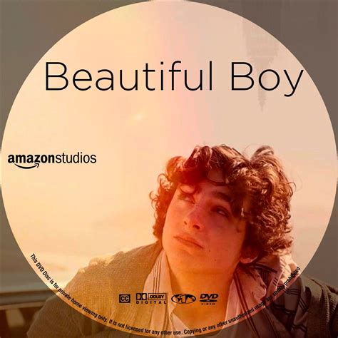Beautiful Boy Dvd Label Cover Addict Free Dvd Bluray