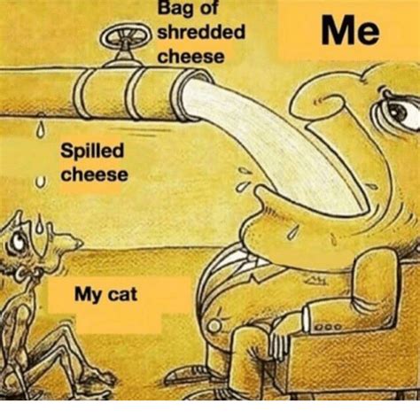 Waiting for shredded cheese as it's the only way she can eat fajitas, he wrote, along with a sad photo of said wife. Search Cat Nudes Memes on me.me