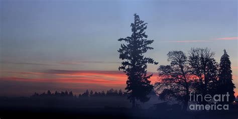 Foggy Morning Sunrise Photograph By Nick Gustafson Fine Art America
