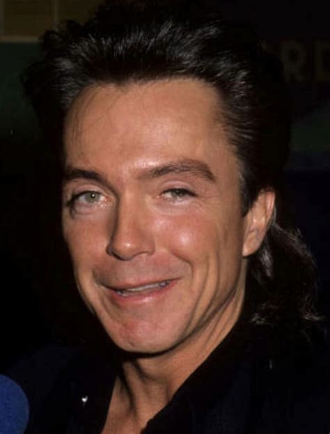 David Cassidy David Cassidy David Sexy Men