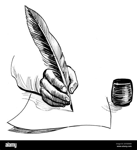 La Escritura A Mano Con Una Pluma Pluma Dibujo En Blanco Y Negro De