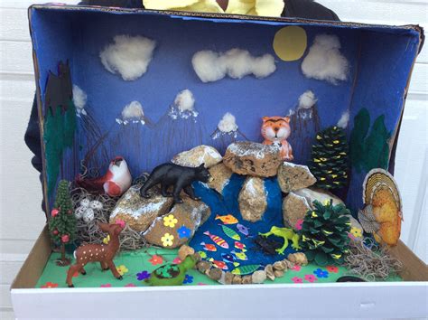 My Daughters 3rd Grade Science Project Blue Ridge Habitat Diorama