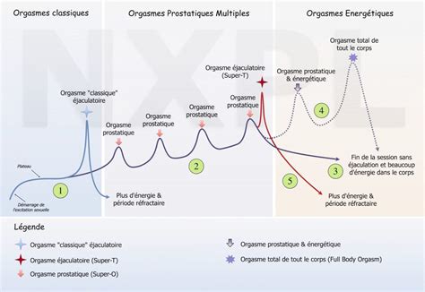 Courbe Des Orgasmes Masculins Et Cheminement Multi Orgasmique