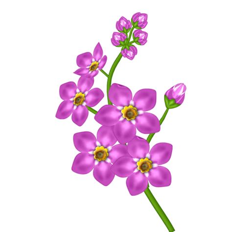 Download High Quality Flower Clipart Transparent Transparent Png Images
