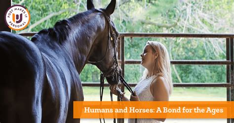 Humans And Horses A Bond For The Ages Post University